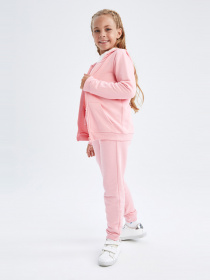 Спортивная кофта DeFacto модель Y0942A6-PN448 Спортивная кофта DeFacto модель Y0942A6-PN448 Фото