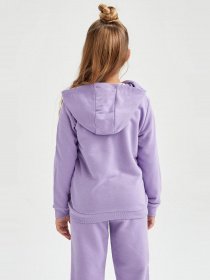 Спортивная кофта DeFacto модель Y0942A6-PR262 Фото