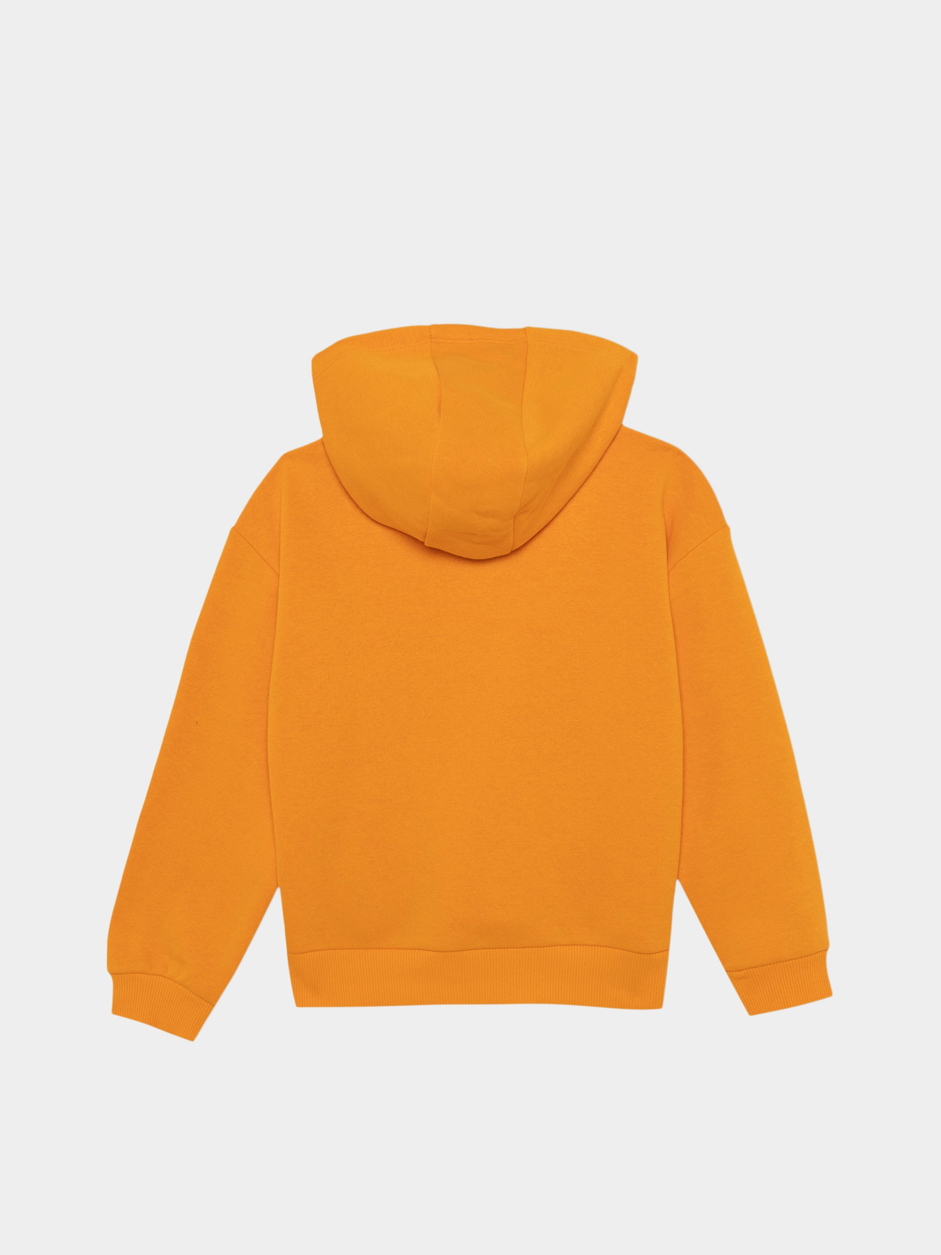 Худи DeFacto модель Y3724A6-OG120 Фото