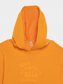 Худи DeFacto модель Y3724A6-OG120 Фото