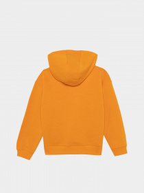 Худи DeFacto модель Y3724A6-OG120 Фото