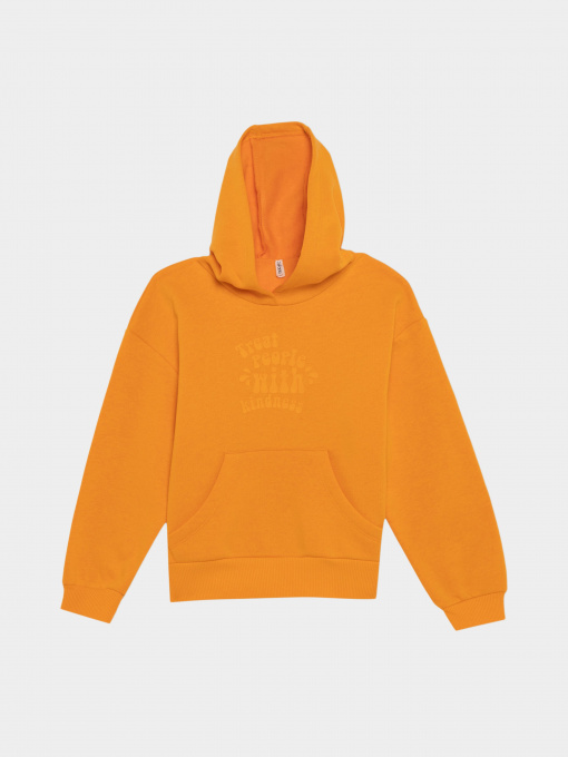 Худі DeFacto модель Y3724A6-OG120 Фото