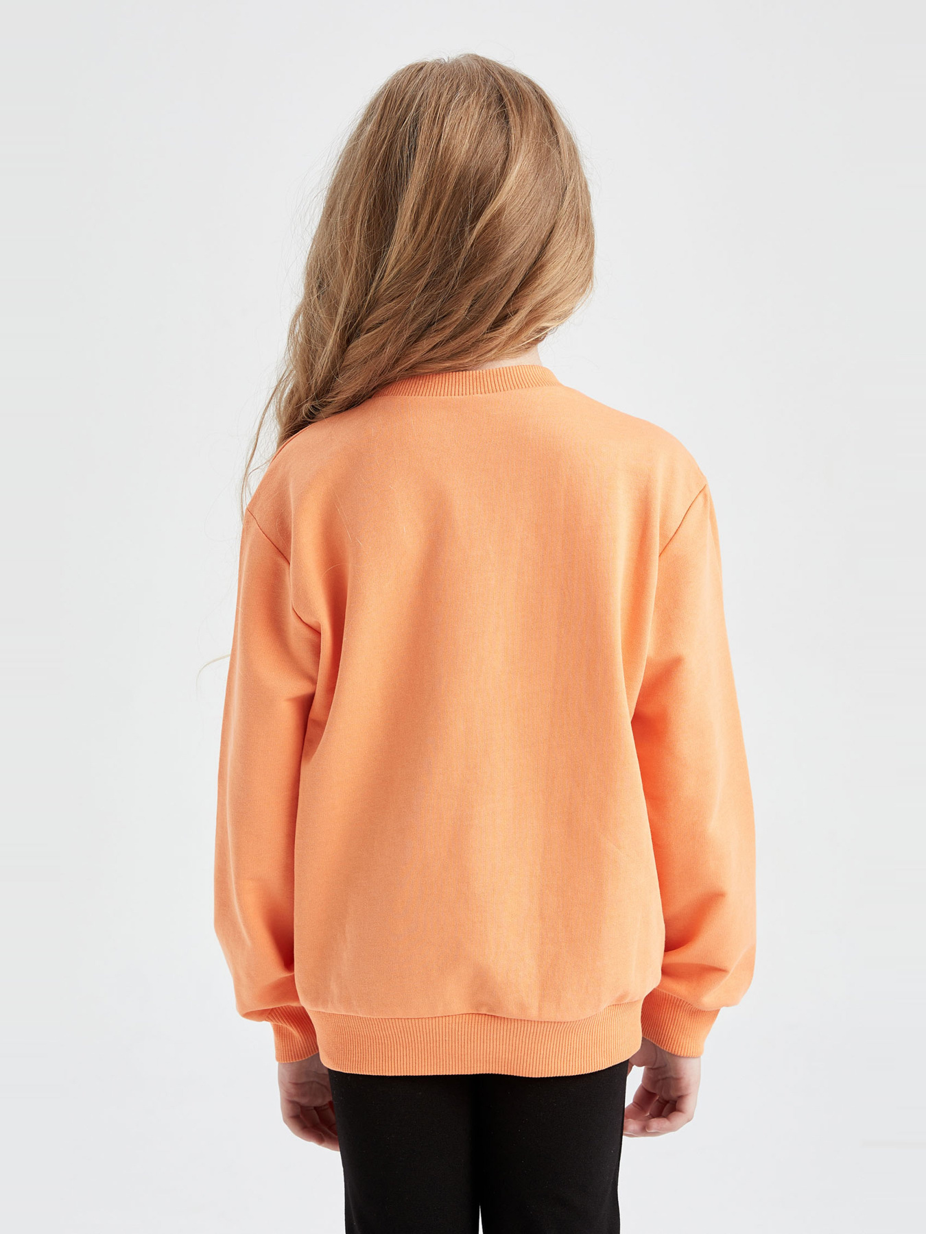 Свитшот DeFacto модель Y3725A6-OG47 Фото