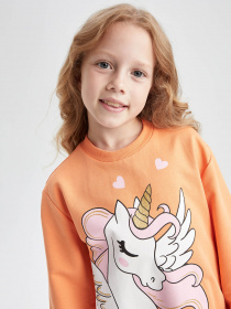 Свитшот DeFacto модель Y3725A6-OG47 Фото