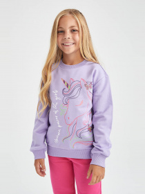 Свитшот DeFacto модель Y3725A6-PR141 Фото