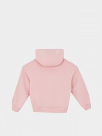 Худи DeFacto модель Y3756A6-PN636 Фото