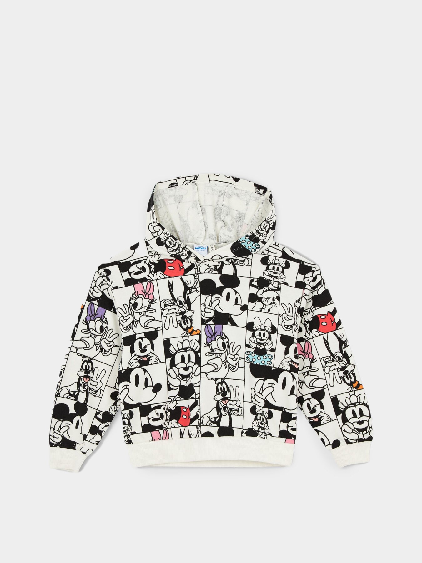 Худи DeFacto модель Y3782A6-BG285 Фото