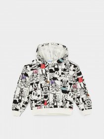 Худи DeFacto модель Y3782A6-BG285 Фото