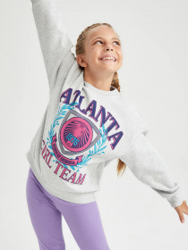 Свитшот DeFacto модель Y3787A6-GR93 Фото