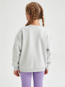 Світшот DeFacto модель Y3787A6-GR93 Фото