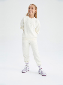 Світшот DeFacto модель Y3795A6-BG285 Фото