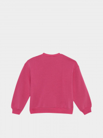 Світшот DeFacto модель Y3880A6-PN43 Фото