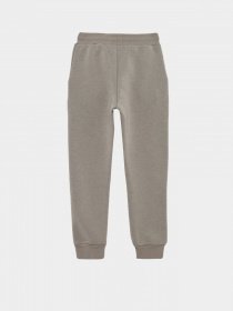 Джогери DeFacto модель Y4132A6-GR323 Фото