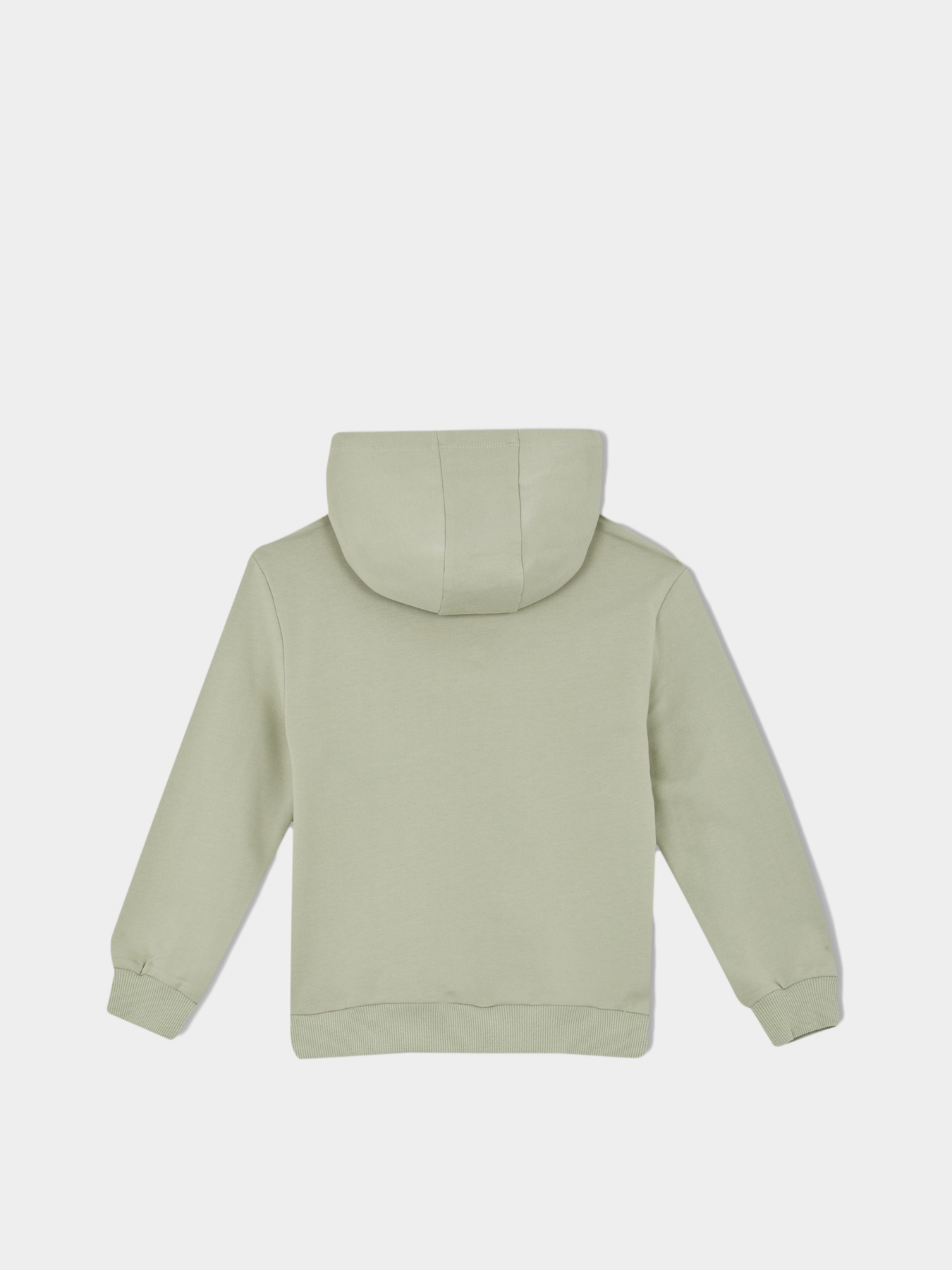 Худи DeFacto модель Y7239A6-TR379 Фото