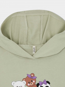 Худи DeFacto модель Y7239A6-TR379 Фото