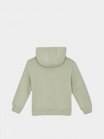 Худи DeFacto модель Y7239A6-TR379 Фото