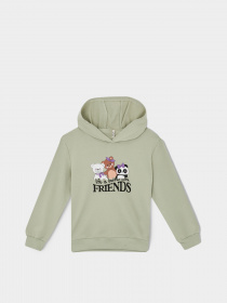 Худи DeFacto модель Y7239A6-TR379 Фото