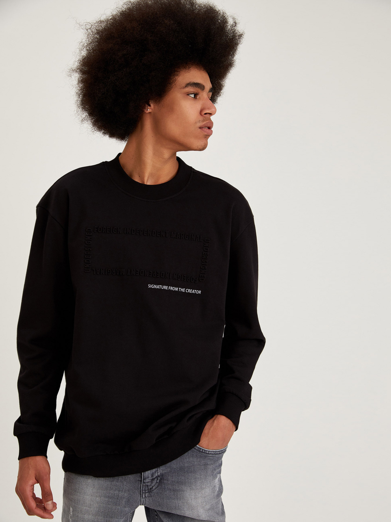 Свитшот DeFacto модель T3686AZ-BK27 Фото