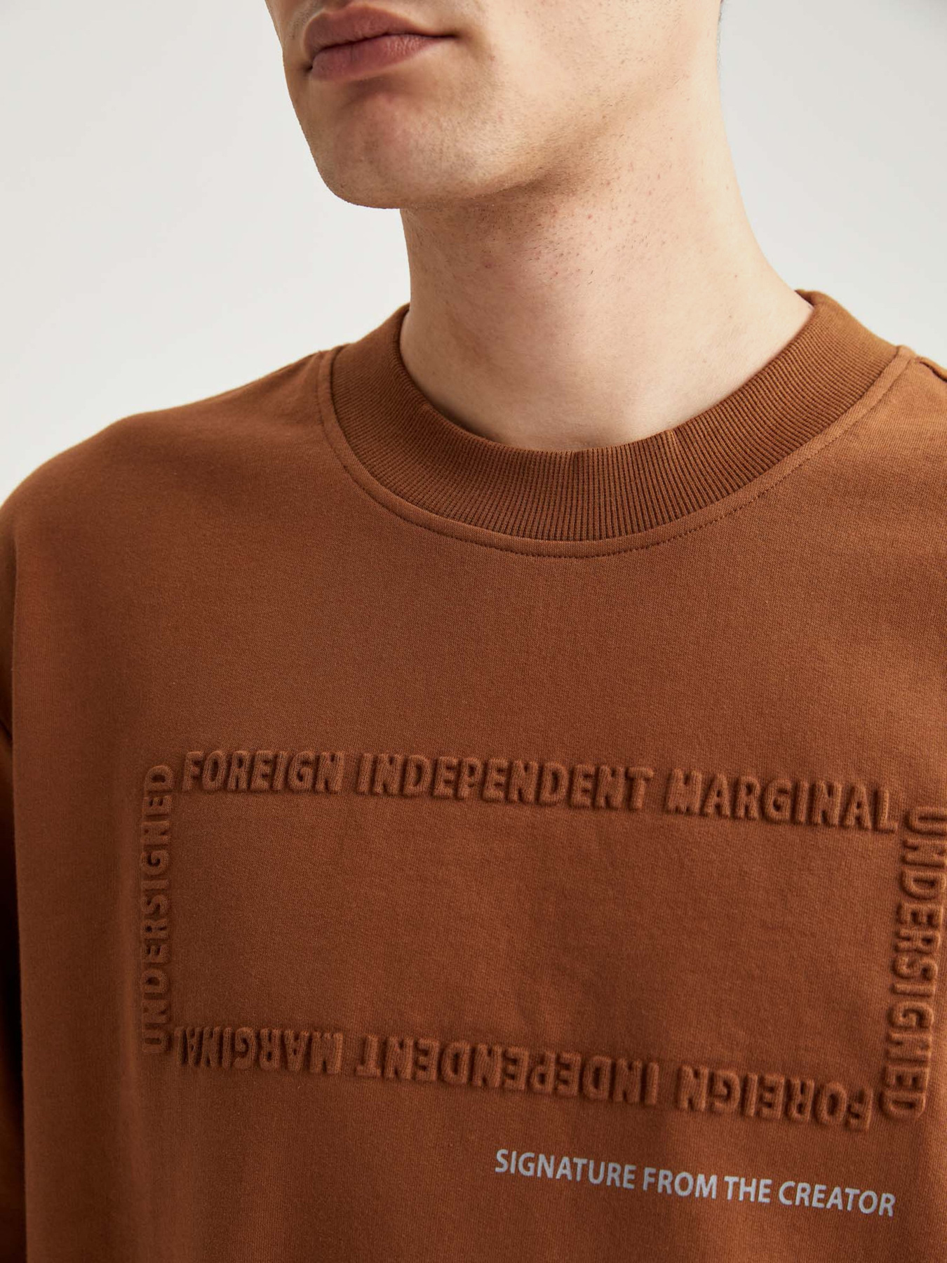 Свитшот DeFacto модель T3686AZ-BN132 Фото