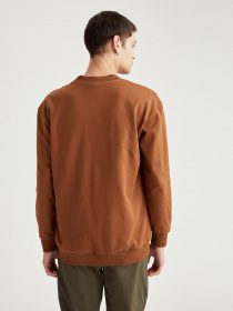 Свитшот DeFacto модель T3686AZ-BN132 Фото