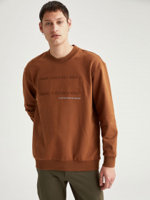 Свитшот DeFacto модель T3686AZ-BN132 Фото