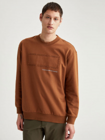 Свитшот DeFacto модель T3686AZ-BN132 Фото