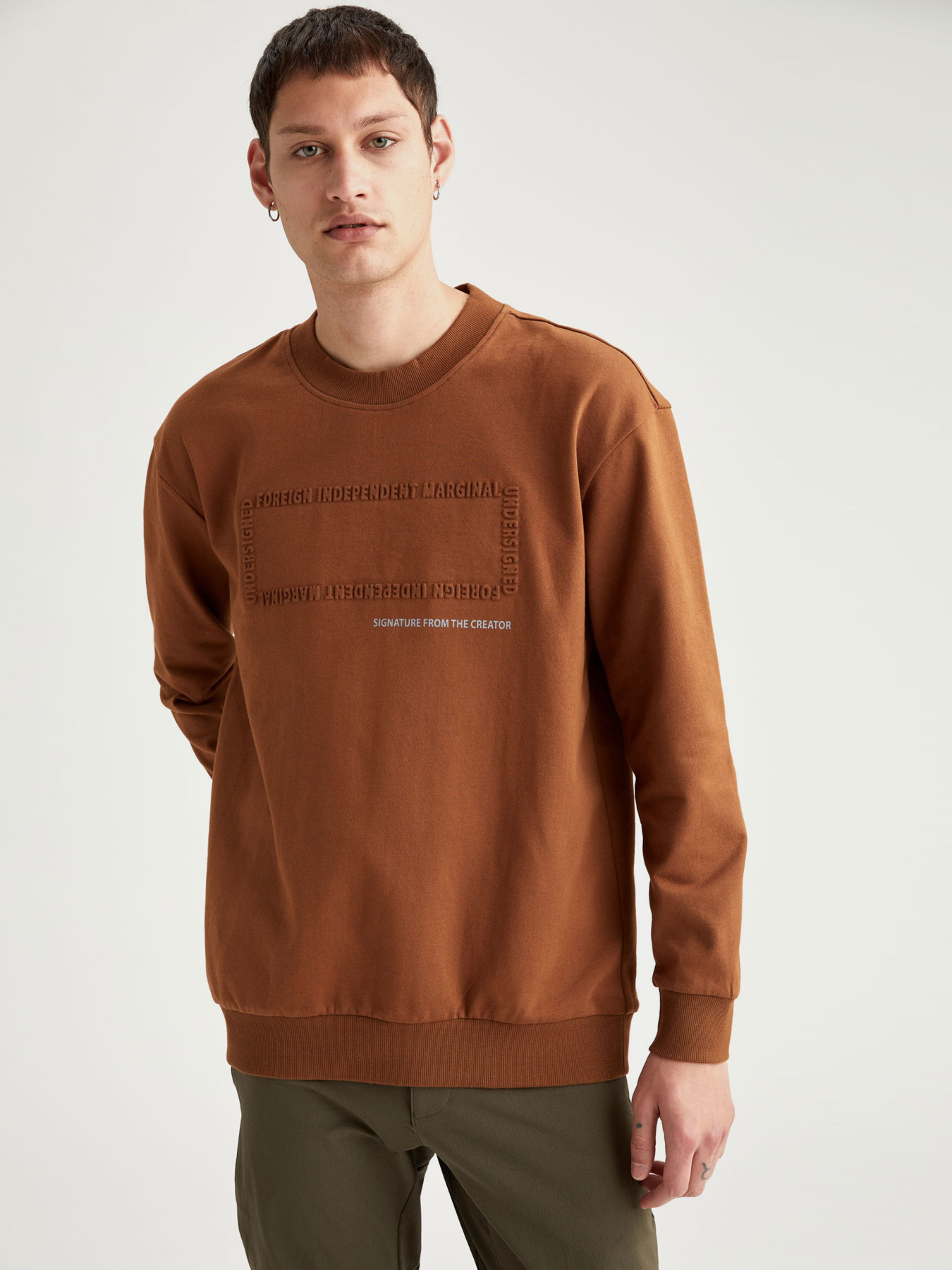 Свитшот DeFacto модель T3686AZ-BN132 Фото