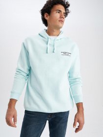 Худи DeFacto модель Z2448AZ-TR243 Фото