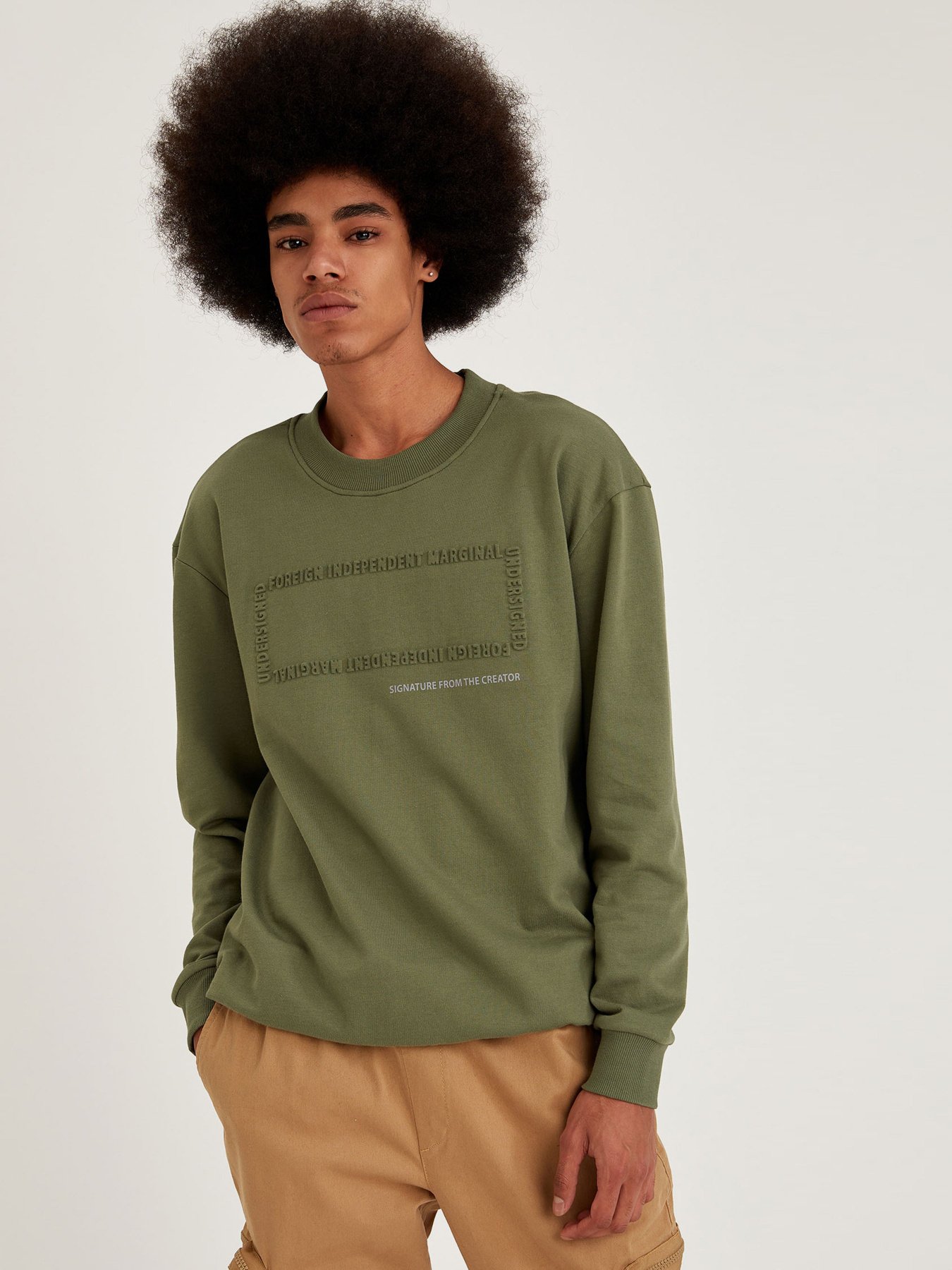 Свитшот DeFacto модель T3686AZ-GN961 Фото