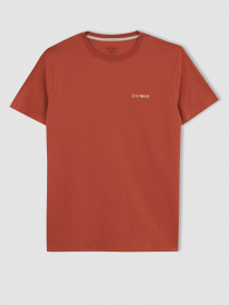 Футболка DeFacto модель Z3086AZ-BR341 Фото