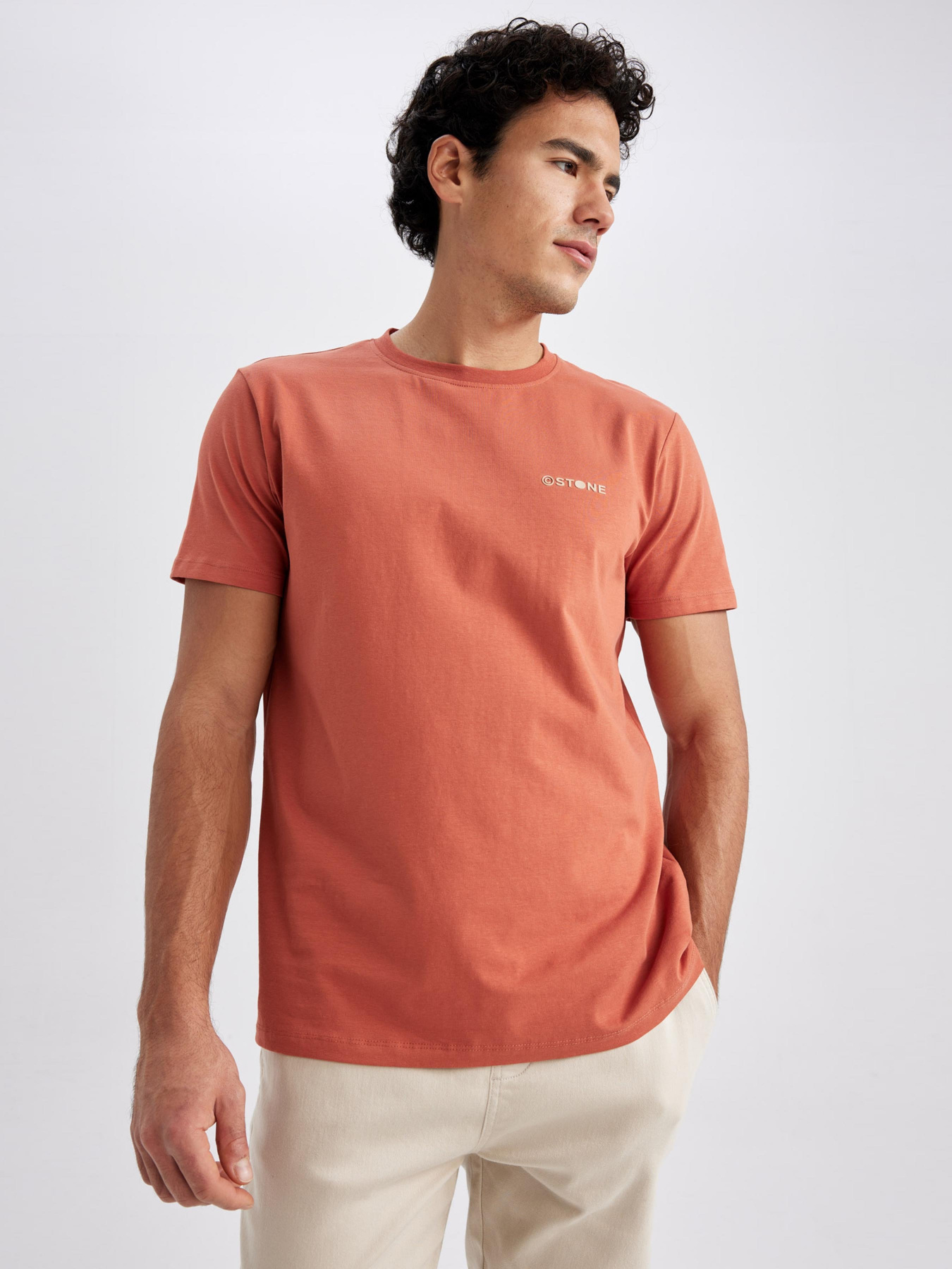 Футболка DeFacto модель Z3086AZ-BR341 Фото