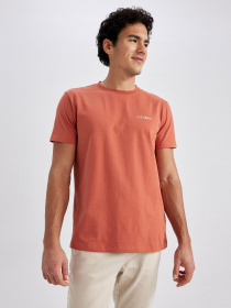 Футболка DeFacto модель Z3086AZ-BR341 Фото