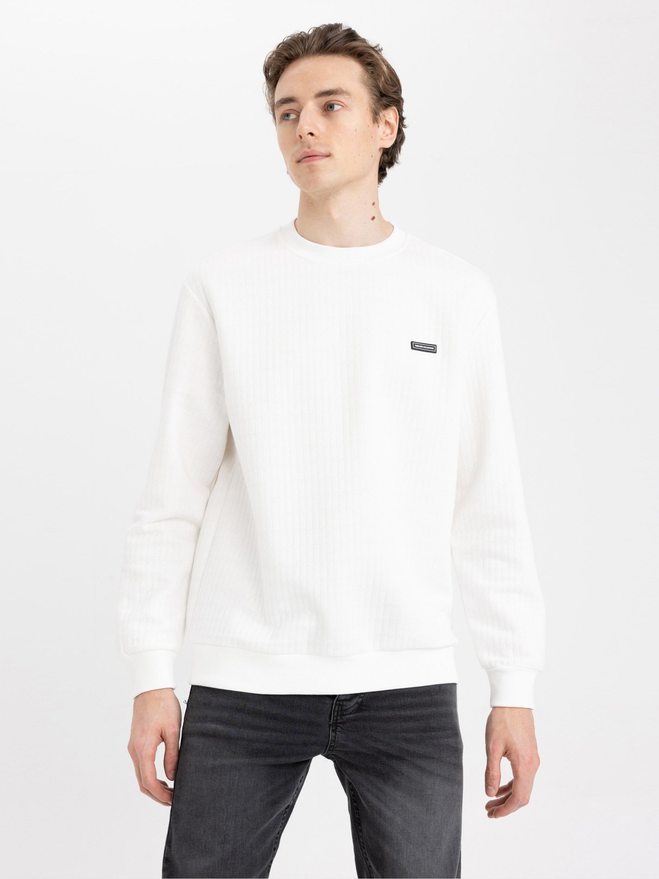 Свитшот DeFacto модель Z3149AZ-ER105 Фото