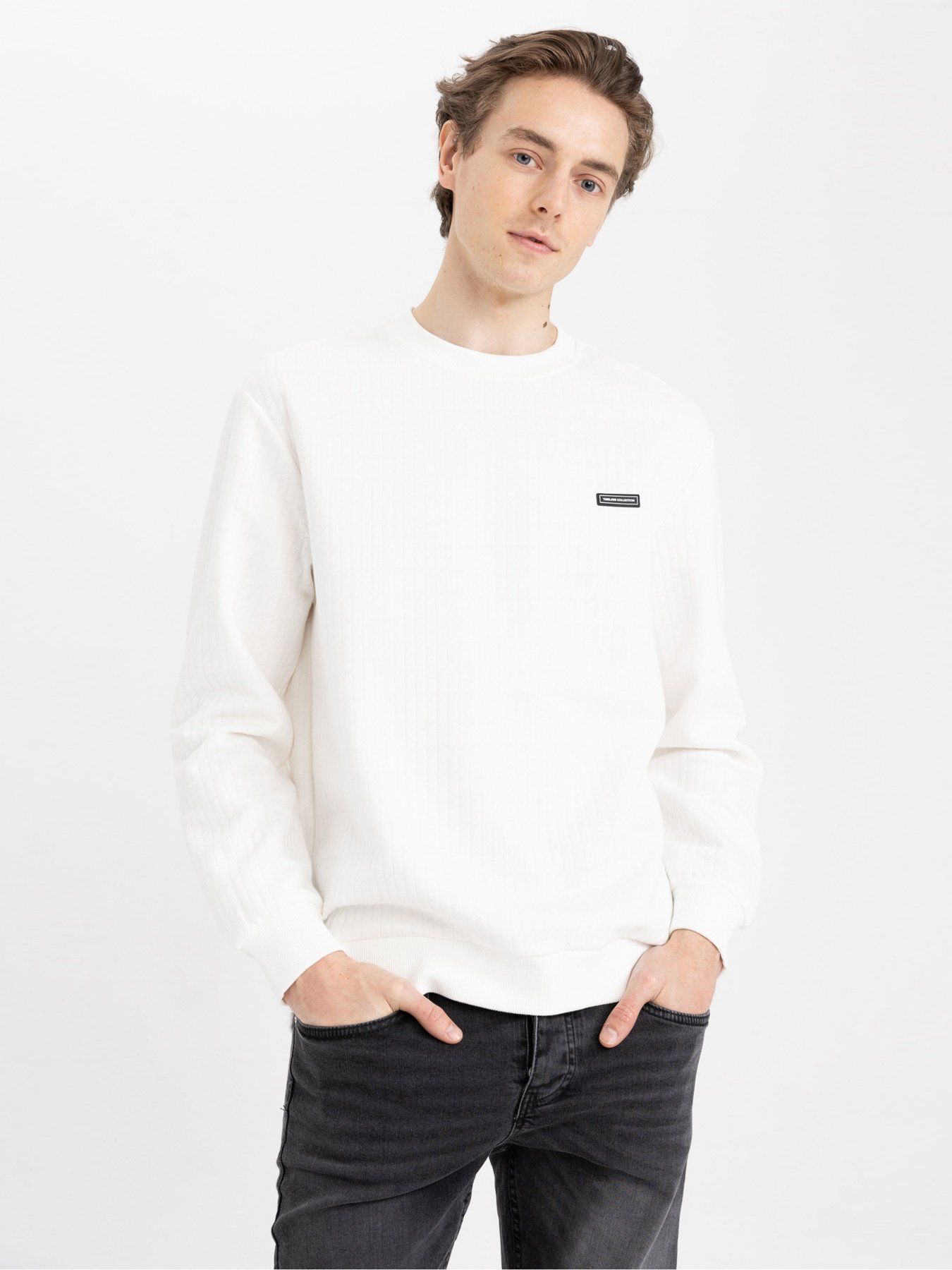 Свитшот DeFacto модель Z3149AZ-ER105 Фото