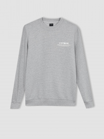 Свитшот DeFacto модель Z3242AZ-GR362 Фото