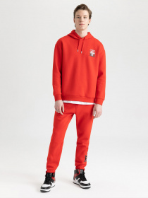 Худи DeFacto модель Z4629AZ-RD227 Фото