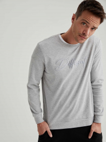 Світшот DeFacto модель T6255AZ-GR56 Фото