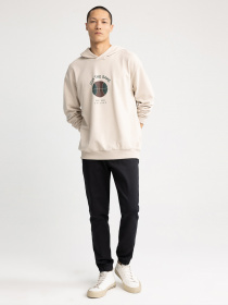 Худи DeFacto модель Z5996AZ-BG609 Фото