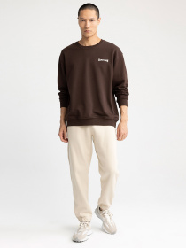 Свитшот DeFacto модель Z5997AZ-BN207 Фото