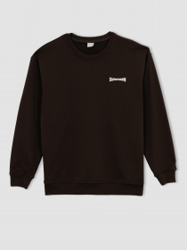 Світшот DeFacto модель Z5997AZ-BN207 Фото