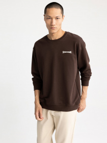 Світшот DeFacto модель Z5997AZ-BN207 Фото