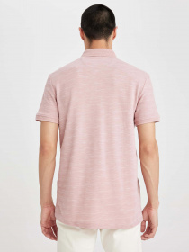 Поло DeFacto модель M7125AZ-PR398 Фото