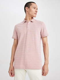 Поло DeFacto модель M7125AZ-PR398 Фото