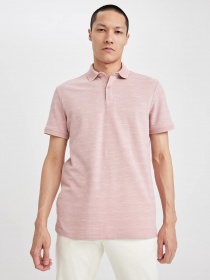 Поло DeFacto модель M7125AZ-PR398 Фото