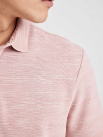 Поло DeFacto модель M7125AZ-PR398 Фото