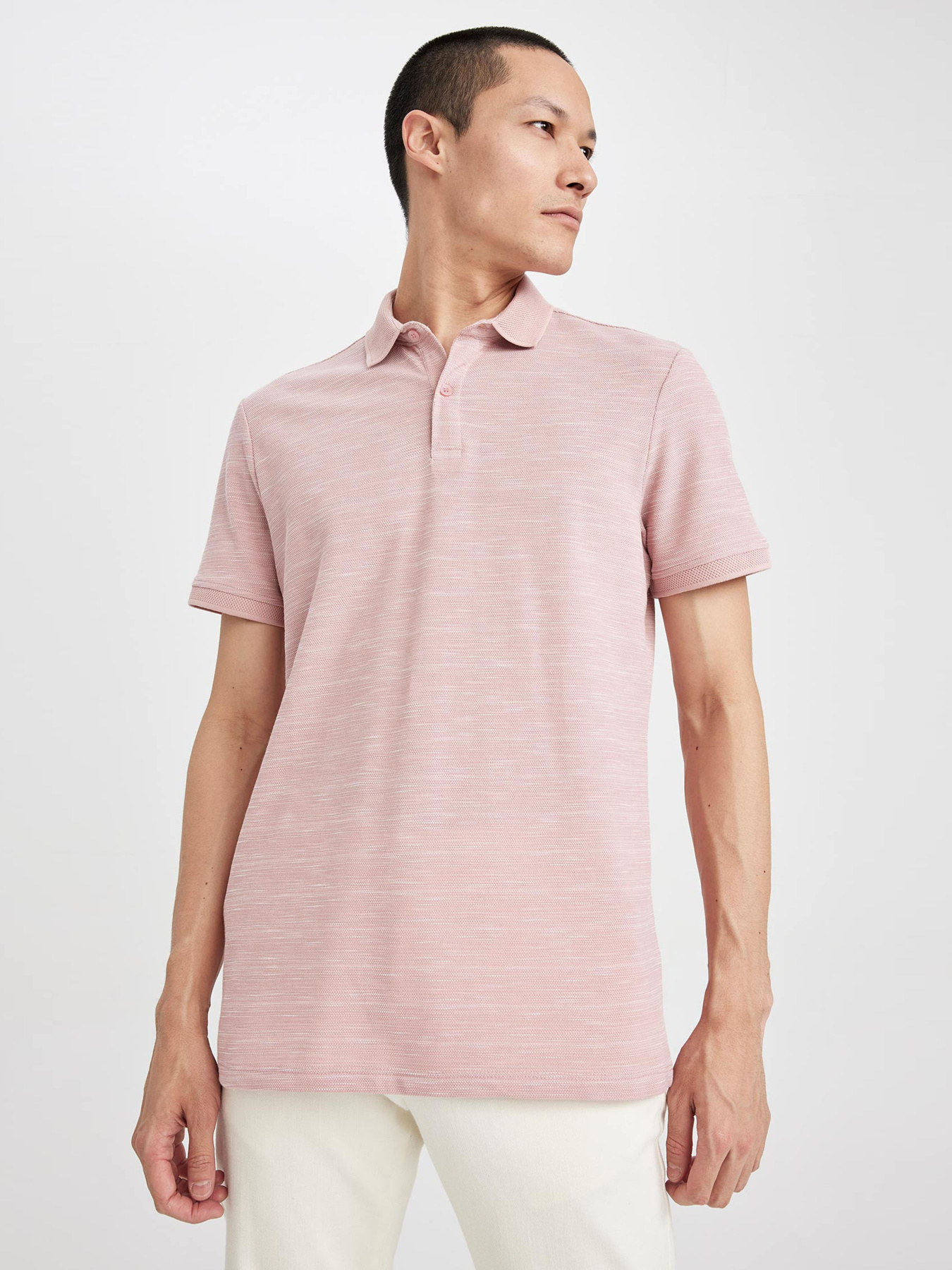 Поло DeFacto модель M7125AZ-PR398 Фото