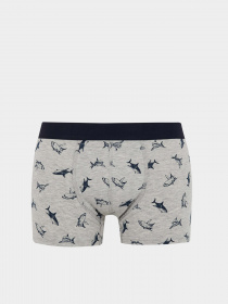 Трусы DeFacto модель Z6143AZ-GR210 Фото