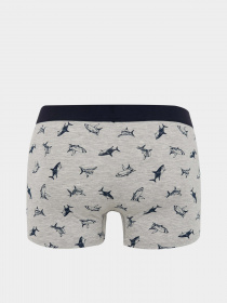 Трусы DeFacto модель Z6143AZ-GR210 Фото