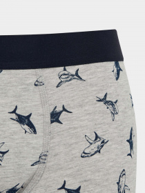 Трусы DeFacto модель Z6143AZ-GR210 Фото