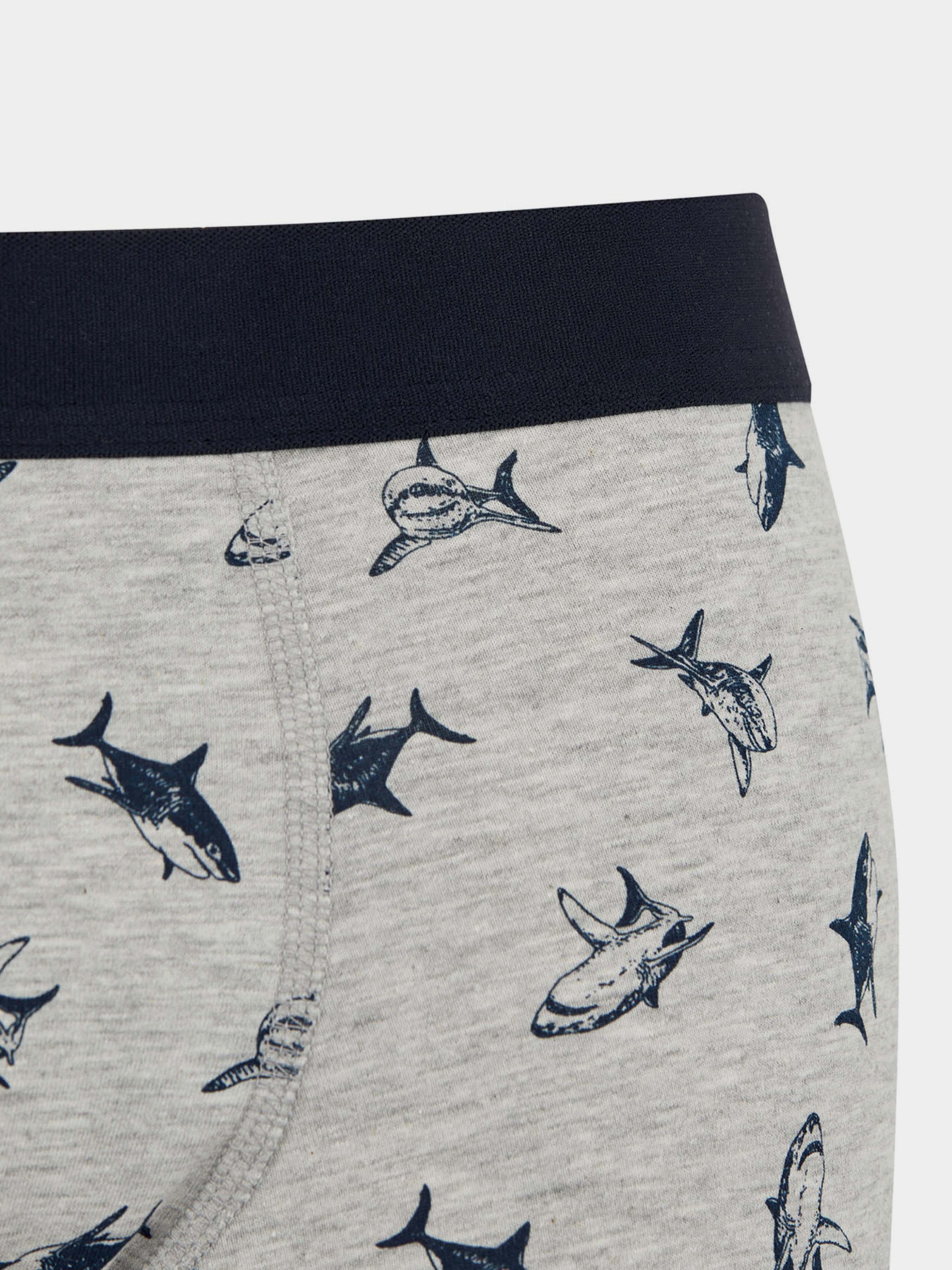 Труси DeFacto модель Z6143AZ-GR210 Фото